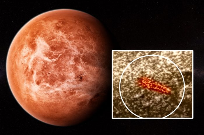 Леонид Ксанфомалити и следы возможной жизни на Венере