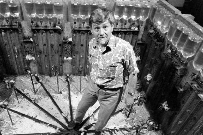 Вселенная 25 — Самый шокирующий эксперимент, показавший, как комфорт разрушает общество