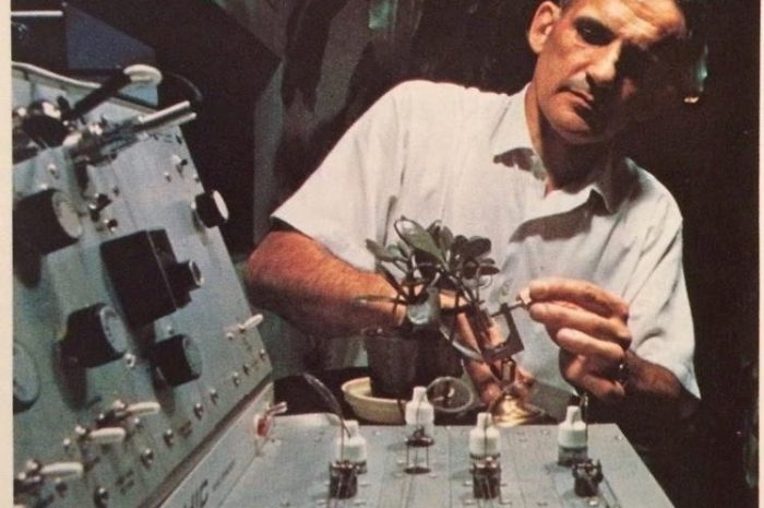 Эксперимент Клива Бакстера — Растения и детектор лжи